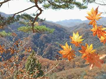 哪里购买打胎药城南医院有没有打胎药（城南医院有哪些科室）